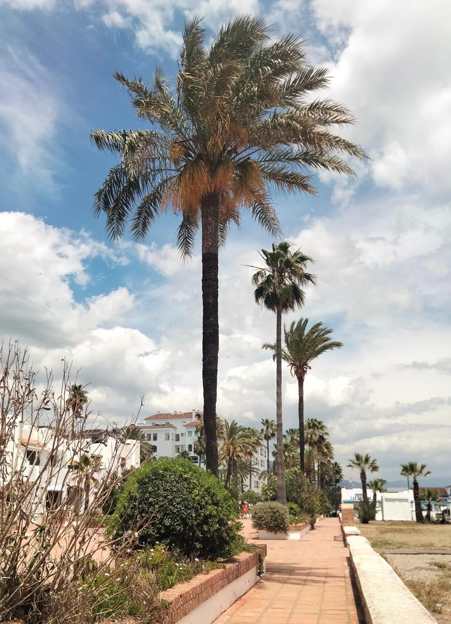 Apartamento Primera Linea De Playa Manilva Esterno foto