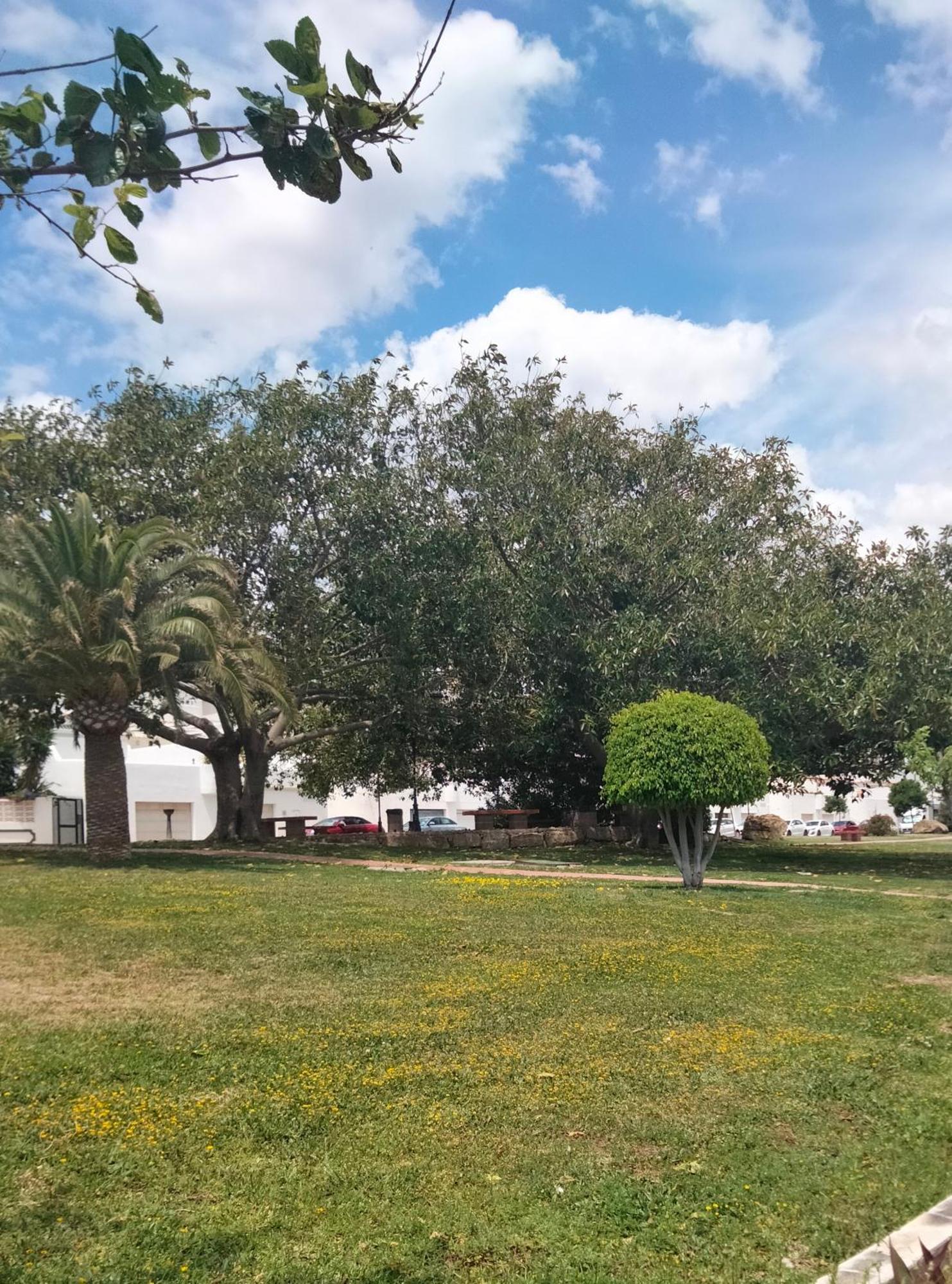 Apartamento Primera Linea De Playa Manilva Esterno foto